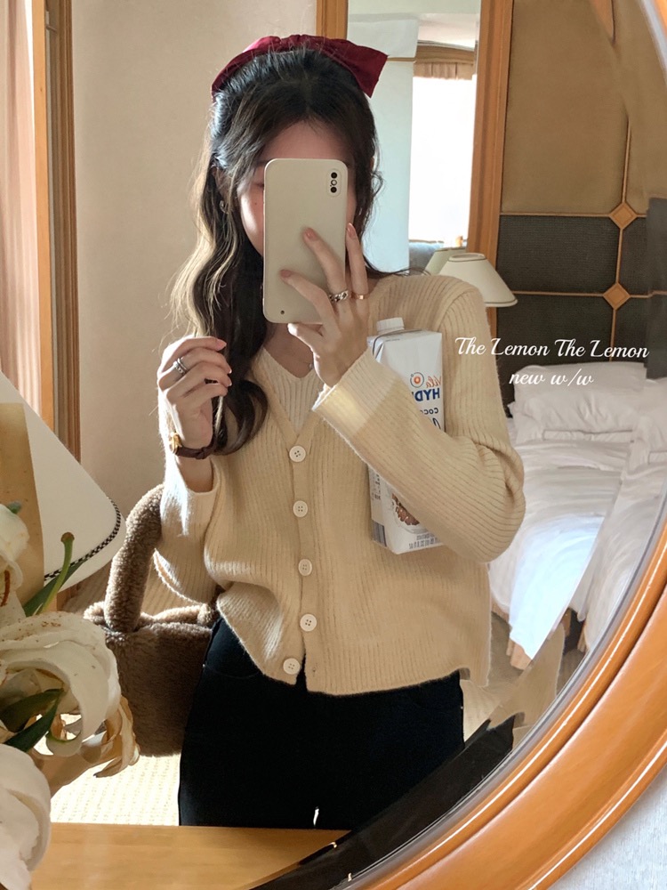 V-neck sweater for women in autumn and winter, age-reducing western-style top with bottoming sweater