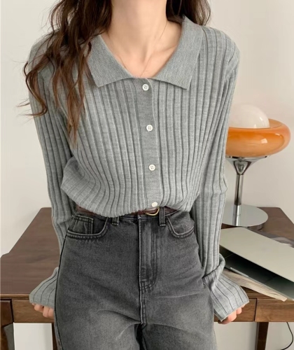 Autumn and winter new polo lapel knitted bottoming shirt, small fragrance style inner sweater cardigan bottoming versatile top