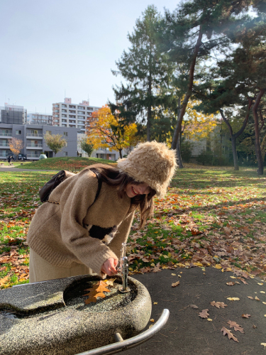 菲林黑白兔 慵懒风软糯圆领小兔提花针织衫