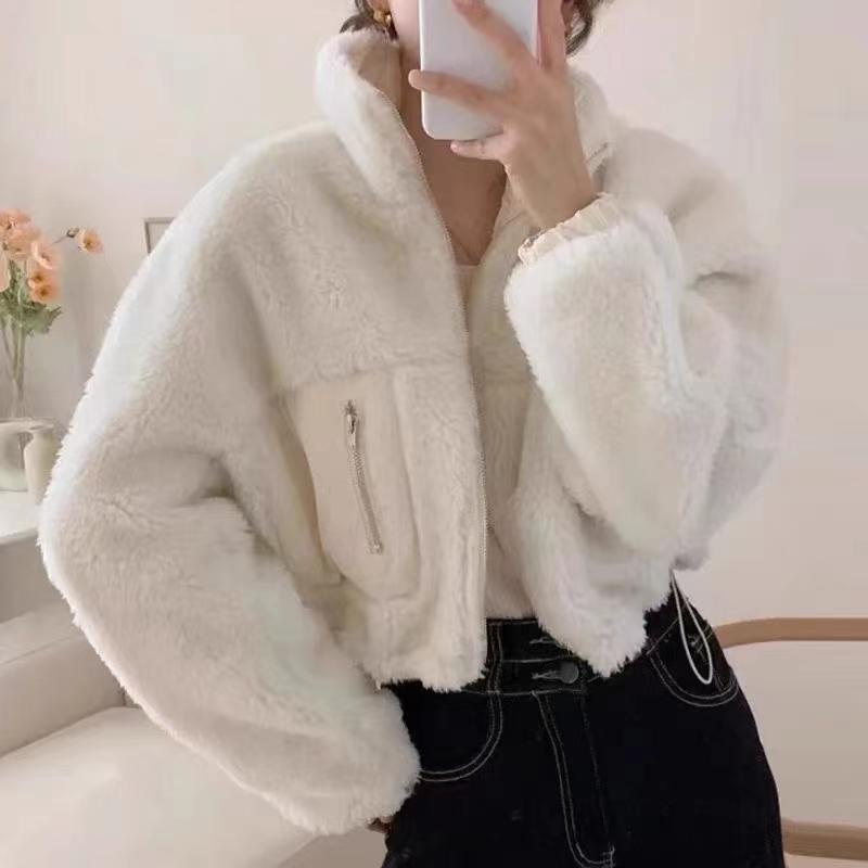 Korean chic autumn and winter temperament stand-up collar zipper reversible casual versatile long-sleeved lamb wool short coat for women