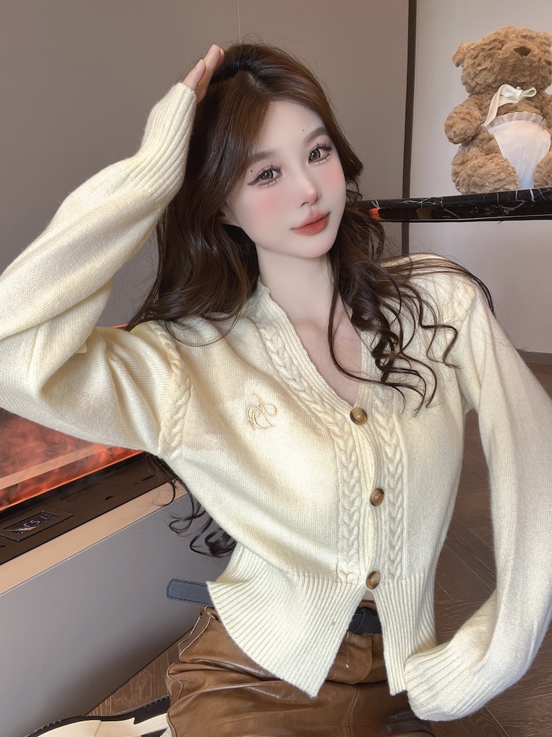 實拍 高級感V領刺繡長袖針織開衫女秋冬軟糯修身短款毛衣外套潮
