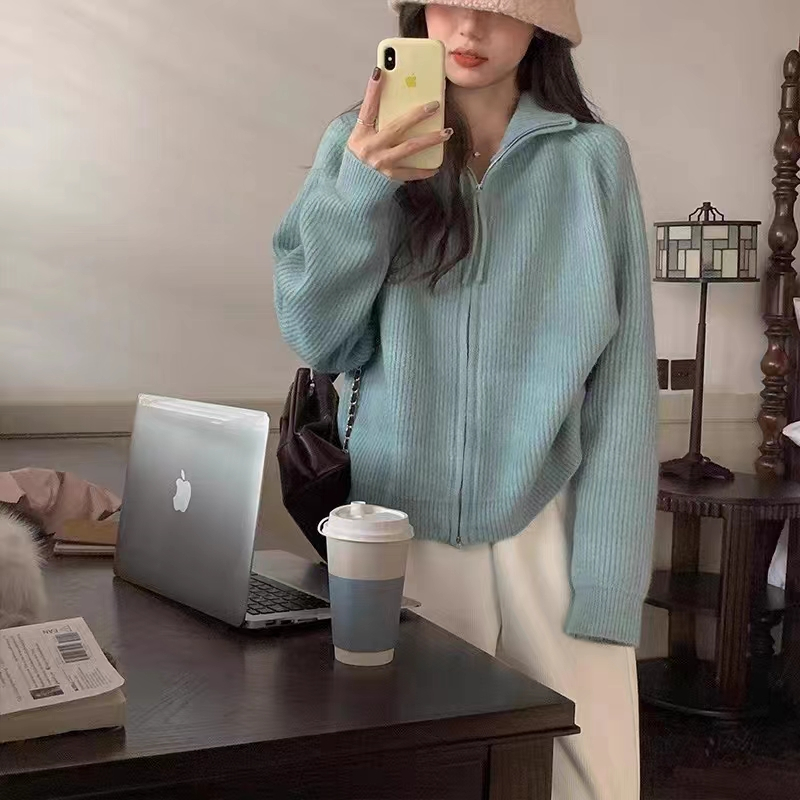 小眾雙拉鏈立領毛衣女2023秋裝軟糯豎坑條外套
