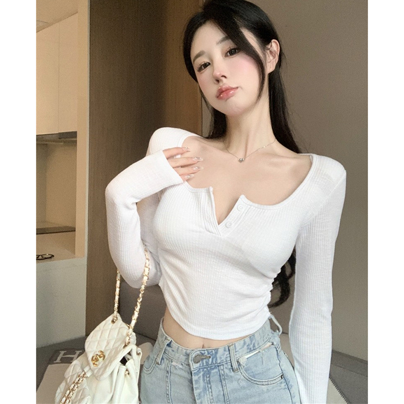 Official picture 260 Crow Weave Velvet Round Neck Letter Printed Long Sleeve T-Shirt Women's Autumn and Winter Niche Versatile