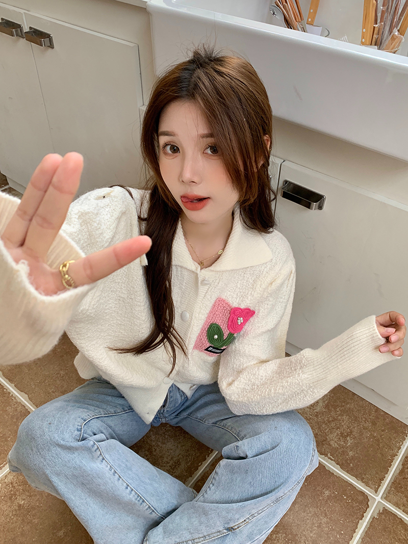高質量溫柔風翻領長袖毛衣女裝秋季設計感針織開衫短款上衣