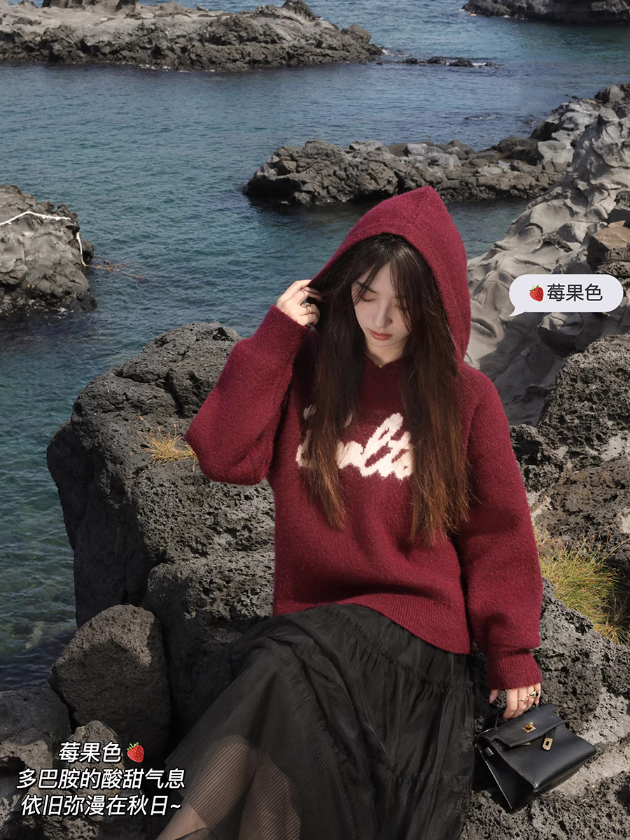 夏詩文 芝麻夾心 慵懶風字母連帽提花套頭毛衣女秋季寬鬆休閒上衣