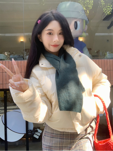 Actual shot of autumn and winter Korean chic simple multi-color stand-up collar versatile thickened short cotton-padded bread coat