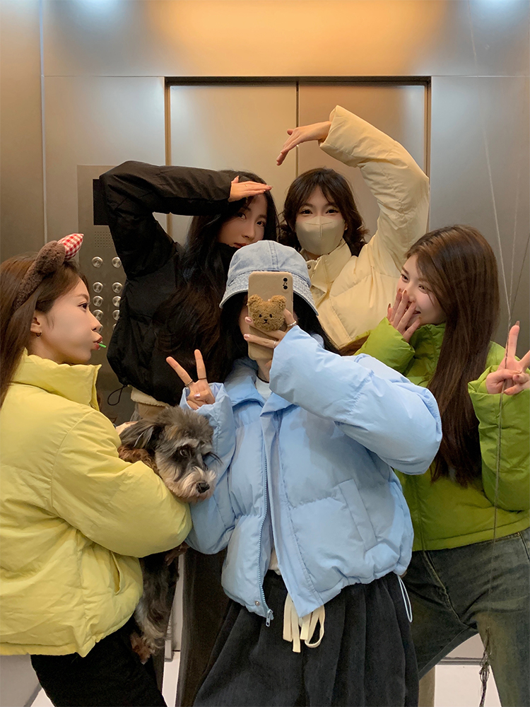 Actual shot of autumn and winter Korean chic simple multi-color stand-up collar versatile thickened short cotton-padded bread coat