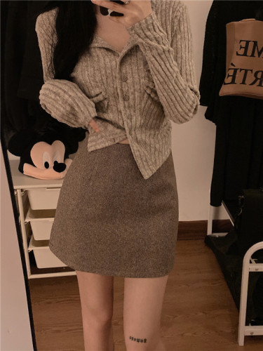 Actual shot of new winter clothing, Korean style high-waist slimming solid color thickened woolen A-line skirt with hip-covering skirt