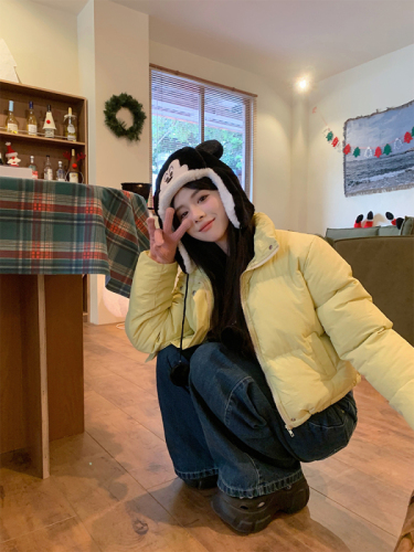 Actual shot of autumn and winter Korean chic simple multi-color stand-up collar versatile thickened short cotton-padded bread coat