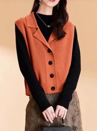  new autumn and winter Korean fashion suit collar solid color slim vest cardigan top for women