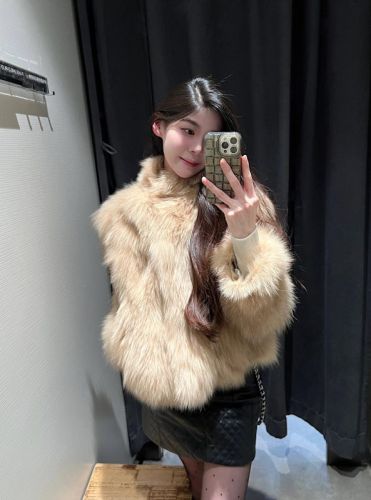 Actual shot of short champagne milk orange small stand-up collar fur integrated high-end environmentally friendly fur