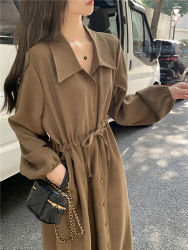 Real shot French cold style design long-sleeved a-line dress for women autumn and winter temperament waist slimming skirt