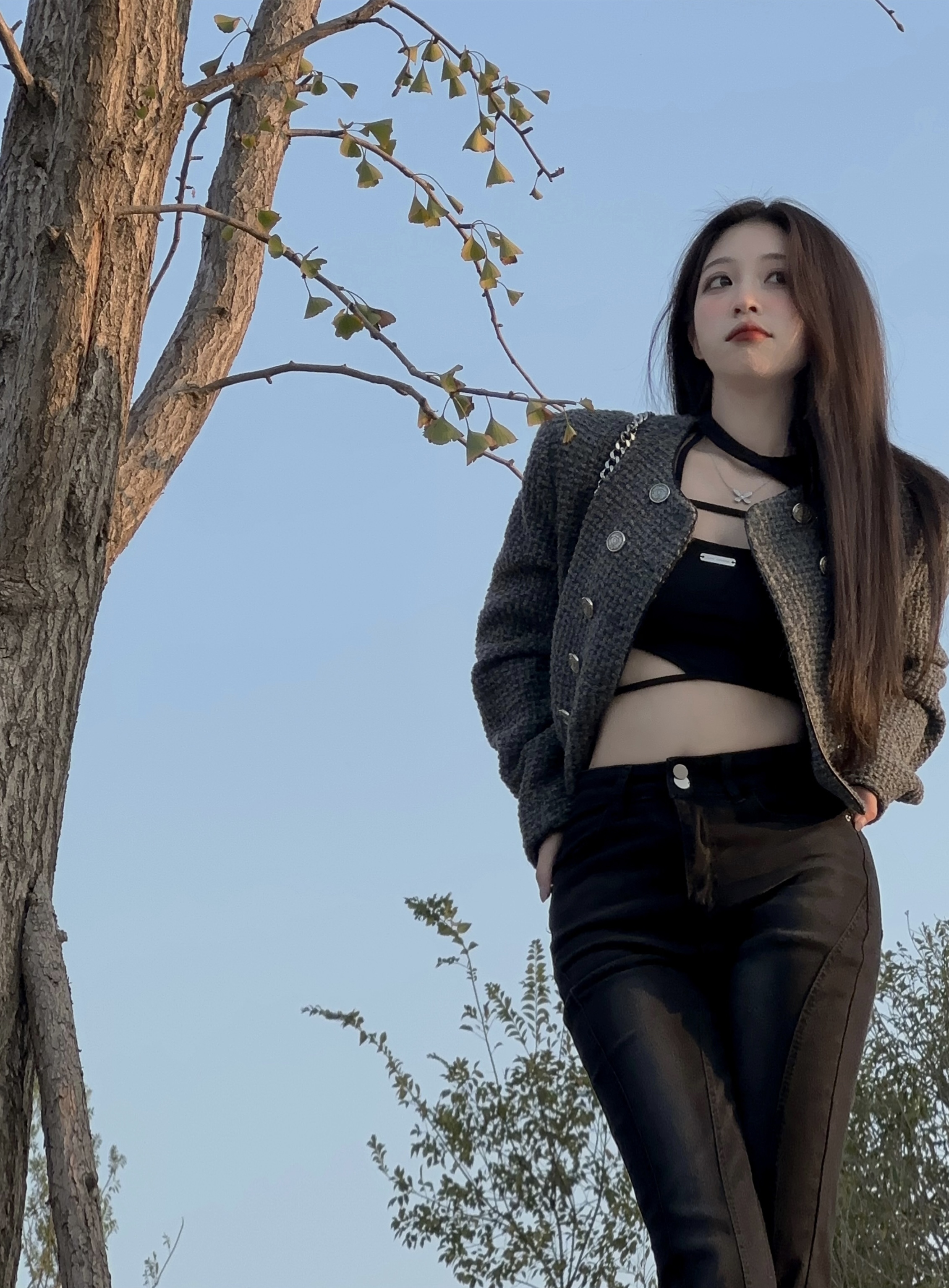 Actual shot of retro striped short style jacket for women in autumn and winter, French ladylike temperament and high-end sense top