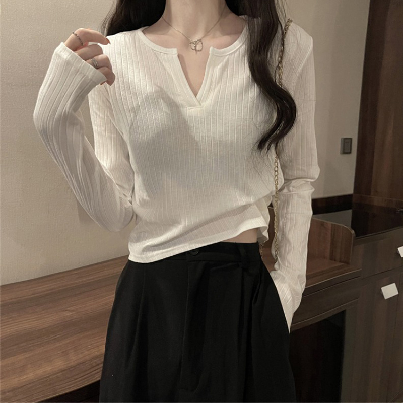 Bottoming shirt for women 2024 spring and autumn new long-sleeved T-shirt for women slim v-neck chic outer wear versatile top
