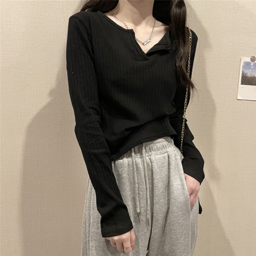 Bottoming shirt for women 2024 spring and autumn new long-sleeved T-shirt for women slim v-neck chic outer wear versatile top
