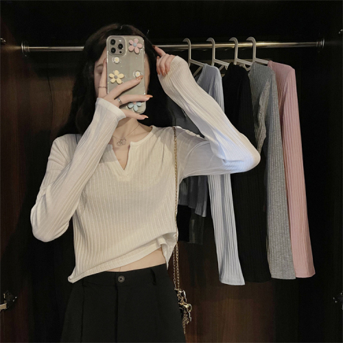 Bottoming shirt for women 2024 spring and autumn new long-sleeved T-shirt for women slim v-neck chic outer wear versatile top