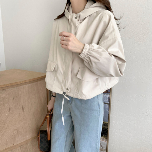 2024 Spring Clothing Korean Versatile Hooded Zipper Loose Casual Versatile Solid Color Long Sleeve Short Jacket for Women