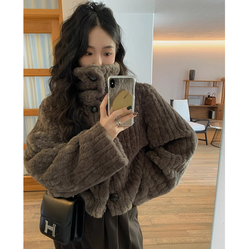 立領短款羊羔絨毛毛外套女秋冬寬鬆高領加厚小個子高級感毛呢大衣