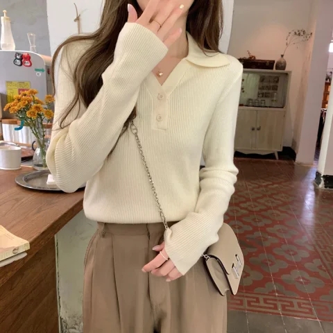 New polo collar button-down long-sleeved inner short sweater beautiful tops knitwear for women spring and autumn