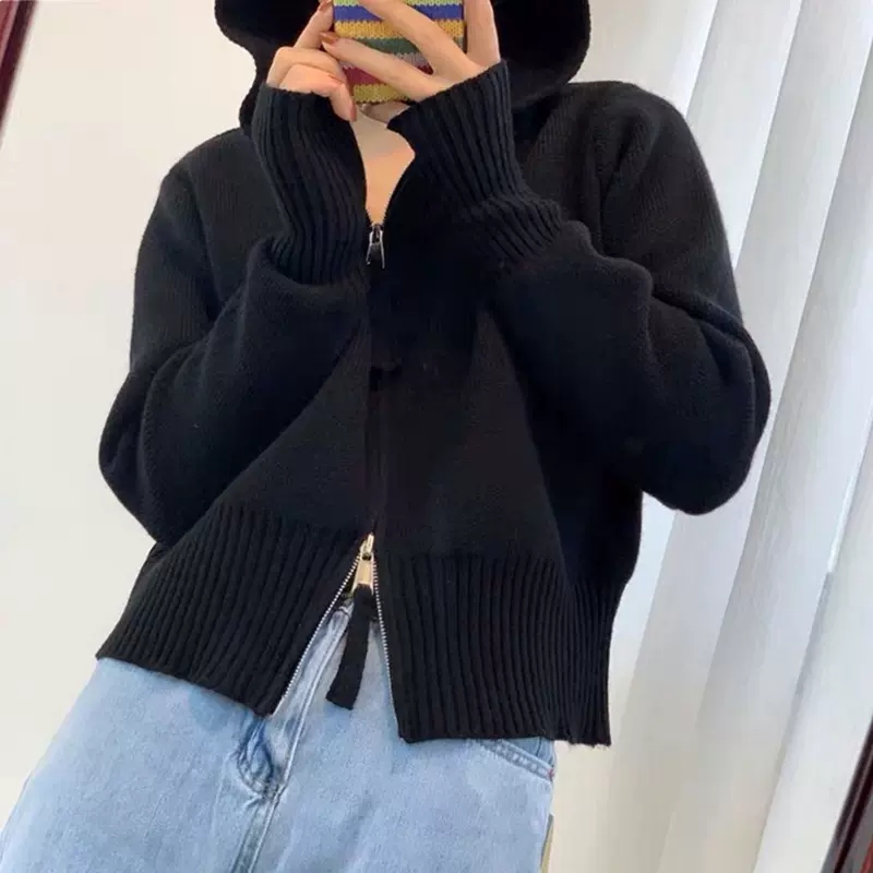 高級感小個子法式溫柔上衣浣熊絨連帽開衫外套毛衣女拉鏈針織上衣