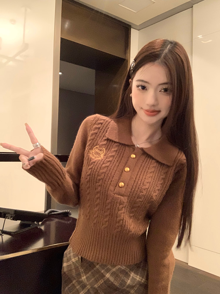~學院風麻花毛衣女冬季氣質正肩polo領套頭短款針織上衣