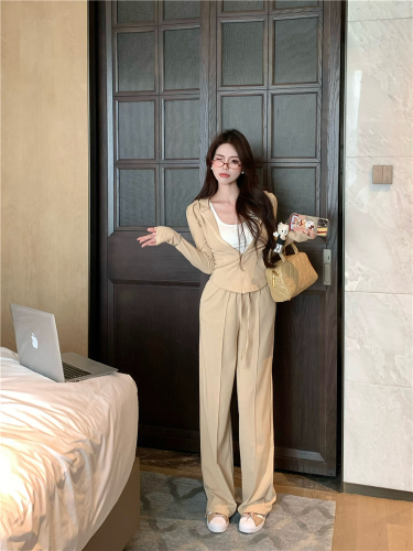 Real shot!  Early spring casual suit long-sleeved hooded cardigan jacket women's casual straight trousers two-piece set
