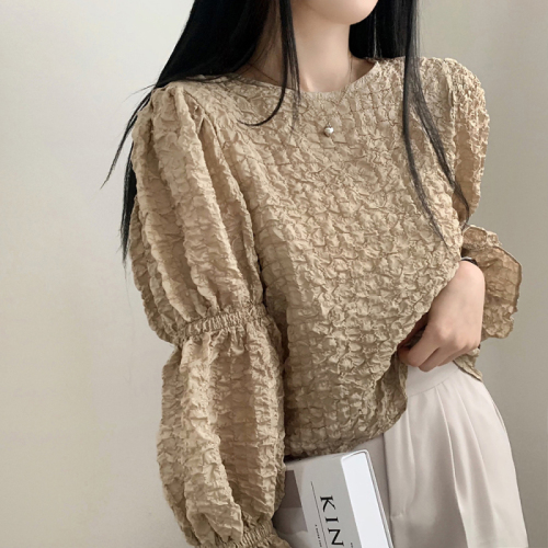 Size update Korean chic spring French niche fairy bubble pleated round neck lantern sleeve shirt tops for women