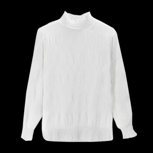 Thin + velvet double layer fungus top 2024 spring new white black turtleneck bottoming shirt for women