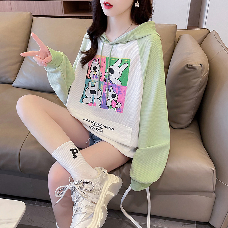 首發實拍260克華夫格後包領早秋薄款長袖連帽衛衣女小眾拼色上衣