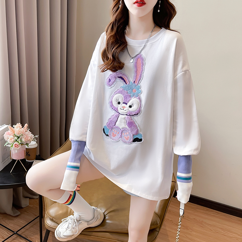 Actual shot-2024 spring Korean version of German velvet fabric back collar original method cartoon embroidery long-sleeved T-shirt for women