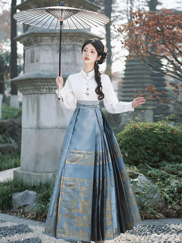 Hanfu women's national style horse-faced skirt suit autumn and winter new Chinese ancient costume new style adult daily wear