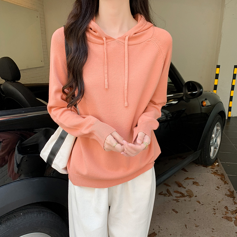 Real shot 2024 spring and summer new style small fragrance solid color sweater hooded high-end long-sleeved jacket T-shirt for women