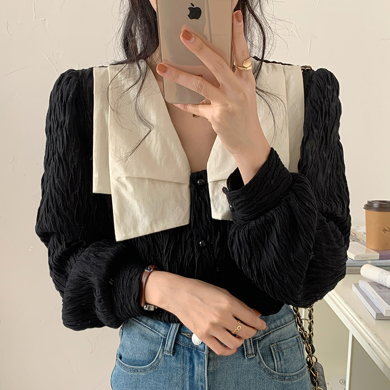 Niche design black shirt women's long-sleeved Korean new spring style chic V-neck shirt light familiar French top