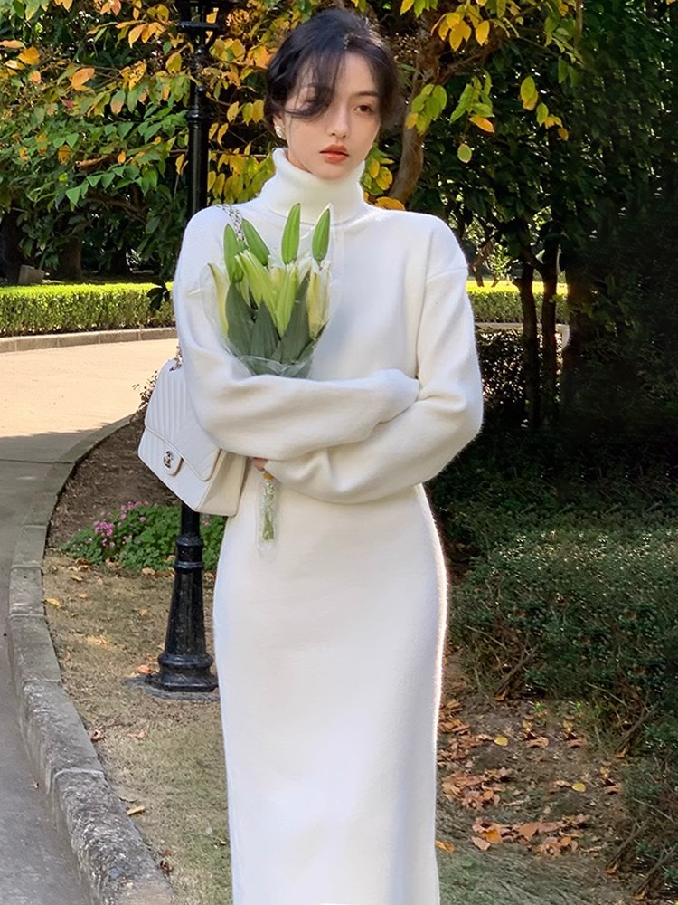 Turtleneck sweater knitted skirt 2024 new coat inner dress women's autumn and winter waist slimming hip-covering long skirt