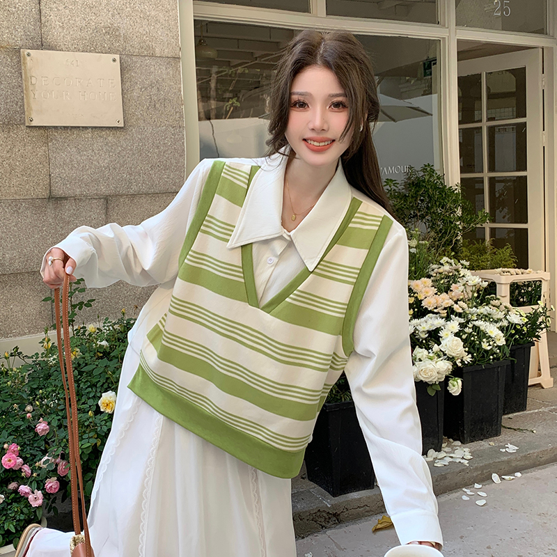 Spring Plus Size Women's Loose Casual Shirt Large Size Long Sleeve Shirt Fake Two Pieces