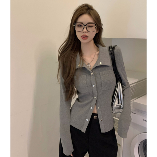 Gray inner layered shirt women's autumn niche design new Korean style lapel shirt temperament long-sleeved top