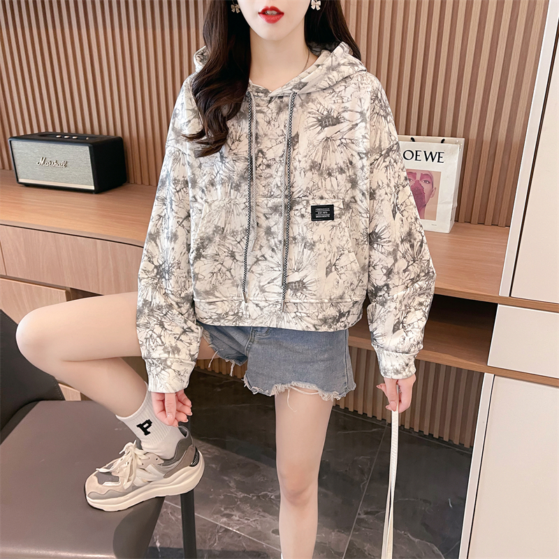 Real shot 2024 spring Korean style loose back bag collar twill hooded national style ink painting large size thin sweatshirt for women