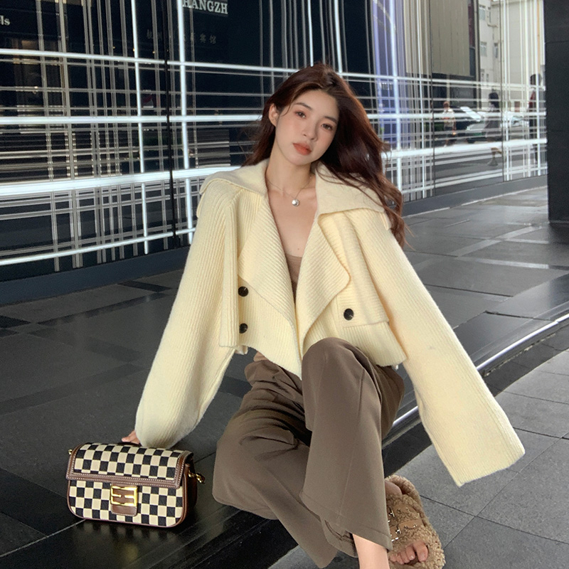 WITHMXBOOM Huihuijia high-end design chic knitted cardigan women's spring new jacket sweater