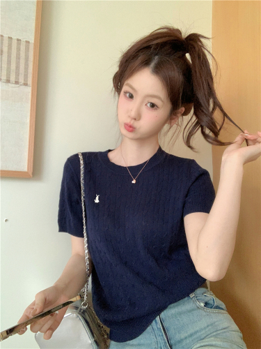 Real shot Spring new style ~ 2024 Korean twist round neck sweater women's short-sleeved embroidered top