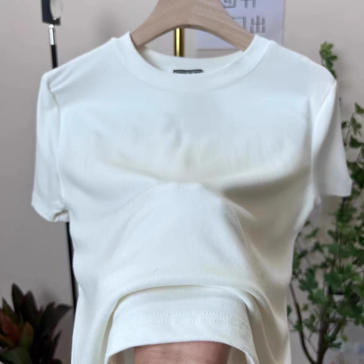 圓領短袖t恤2024新款女士設計感小眾春夏季修身顯瘦純色體恤上衣