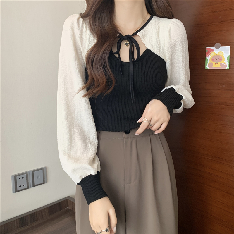 Design sense niche splicing long-sleeved sweater early autumn tops for women new this year popular beautiful short bottoming shirt