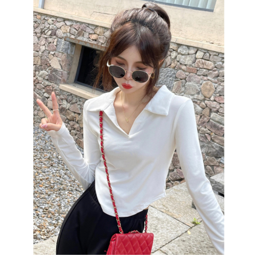Early autumn unique and chic small tops for women new 2024 short polo collar long-sleeved hot girl white T-shirt