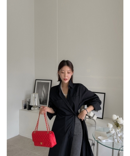 chic Korean style spring niche design retro fashion single-breasted long-sleeved shirt dress