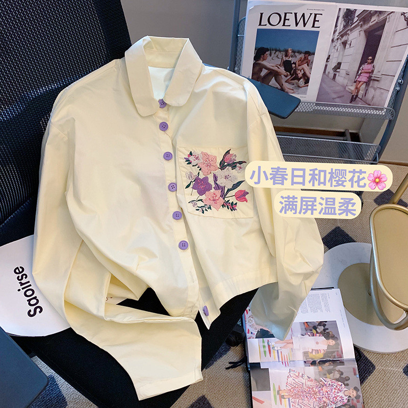 Original workmanship long-sleeved shirt for women spring and autumn short design niche top small embroidered temperament shirt