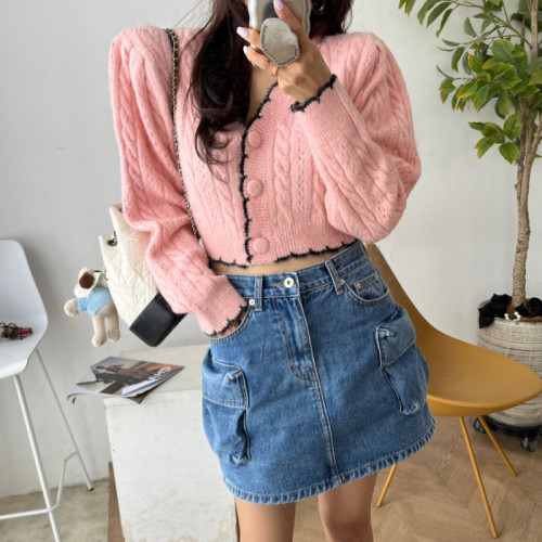 Korean 2024 spring women's new fashion ins blogger long-sleeved puff-sleeved short sweater