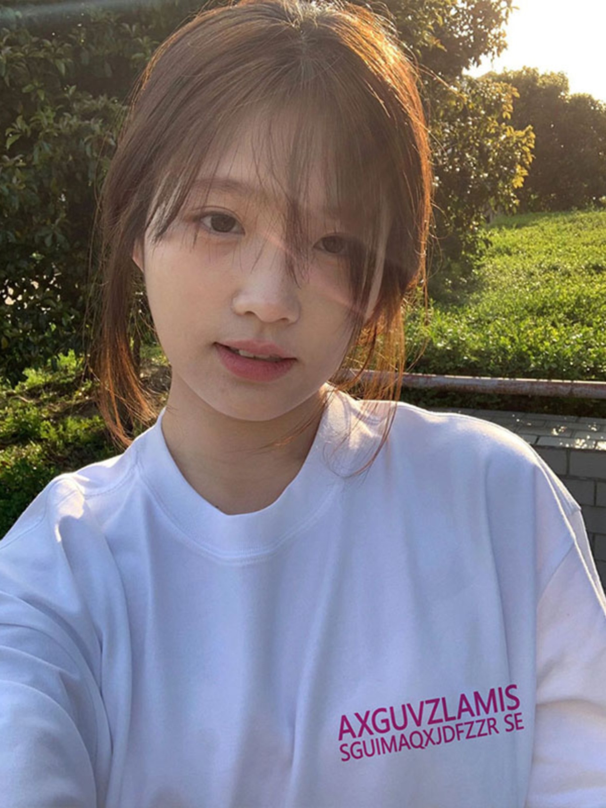 高質量純棉220克精梳緊密手感好直播品質前後印花短袖t恤女