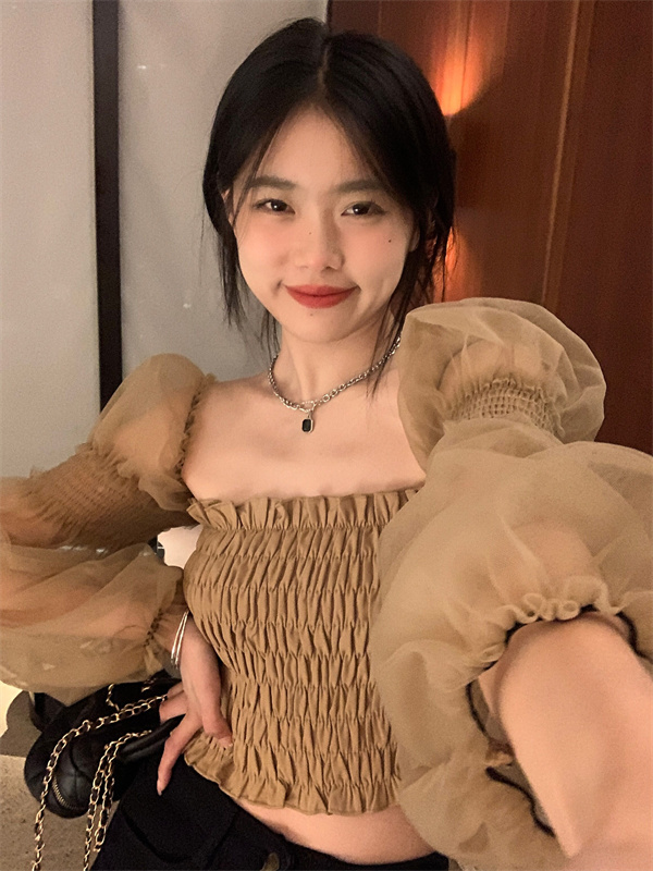 Real shot of early spring retro pure lust mesh design puff sleeve waist slimming long-sleeved shirt