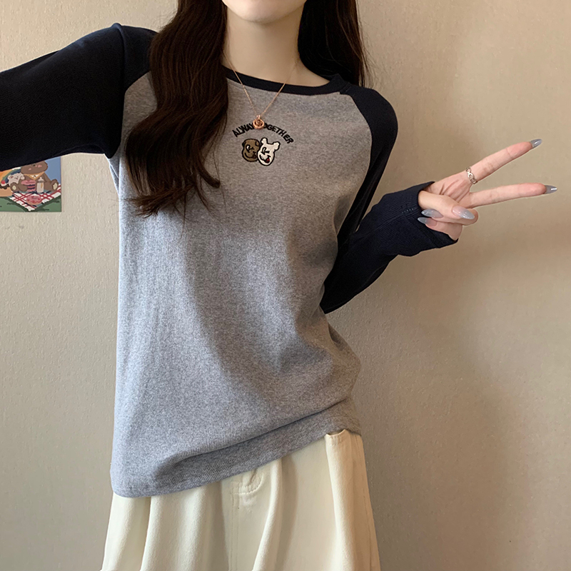 Actual shot 2024 spring Korean style fine thread fleece 260g round neck raglan sleeve printed large size long-sleeved T-shirt for women
