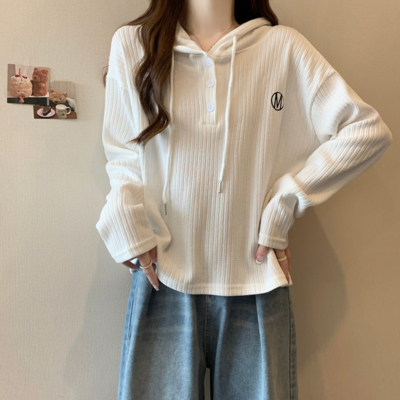 Real shot 2024 spring Korean style loose 320g hooded letter embroidered bottoming shirt top long sleeve t-shirt for women