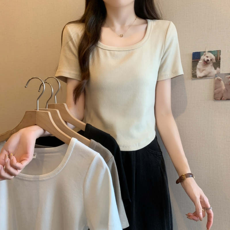 Real shot 40 count pure cotton 2024 summer square neck short-sleeved T-shirt for women ins fashion slim short solid color top